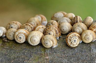 《星际公民》众筹破3.97亿美元 新视频介绍太空战计划